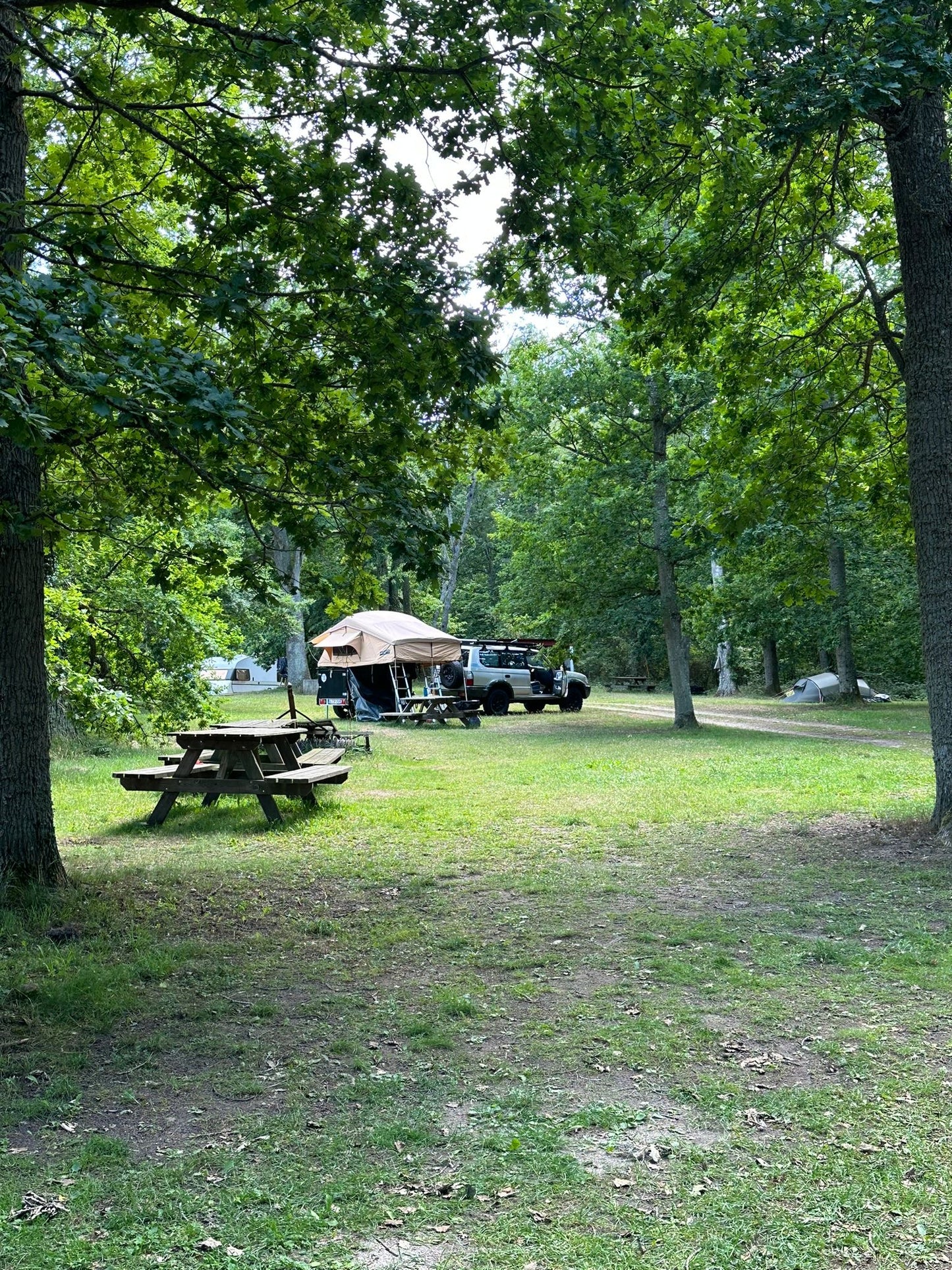 Off road Dachzeltanhänger mit Standheizung, Kühlschrank, Lithiumbatterie und Kühlschrank